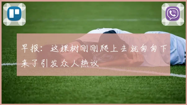 早报：这棵树刚刚爬上去就匆匆下来了引发众人热议