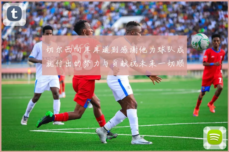 切尔西向库库道别感谢他为球队成就付出的努力与贡献祝未来一切顺利